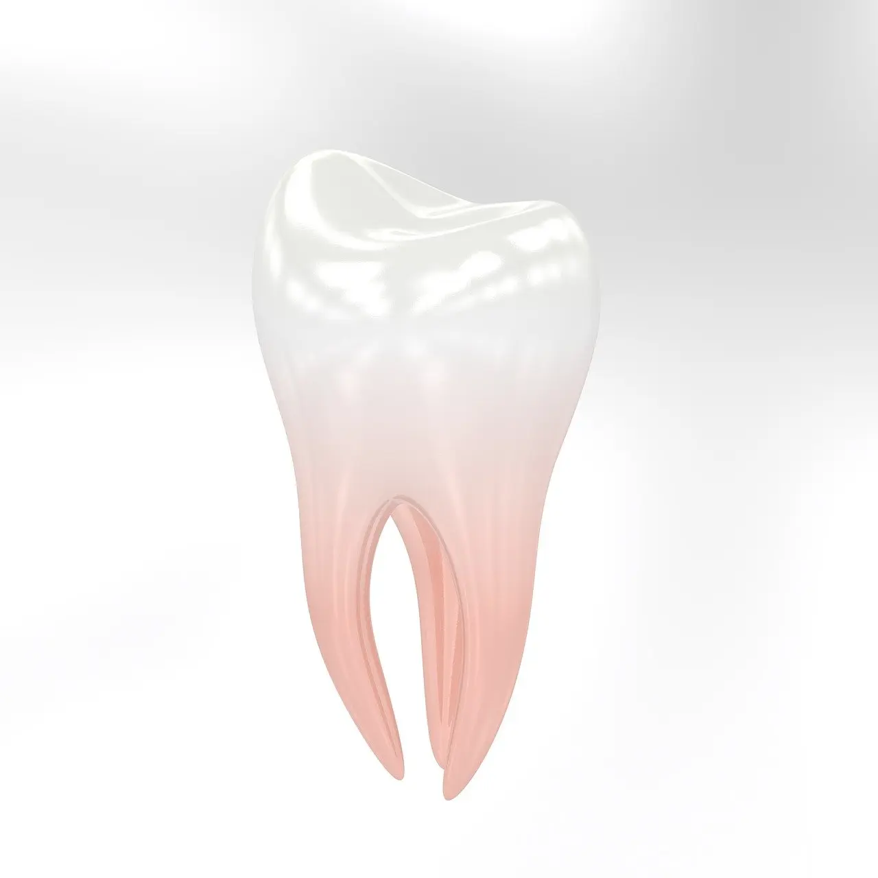flourish dental services